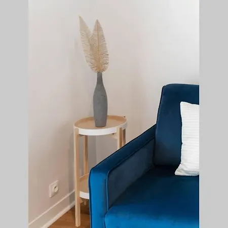 A Deux Pas Des Plages De Biscarrosse, Wifi Apartment