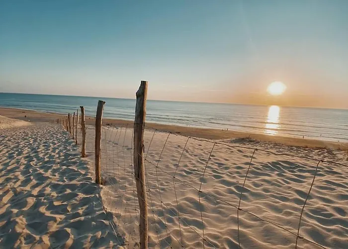 à Deux Pas Des Plages De Biscarrosse, Wifi